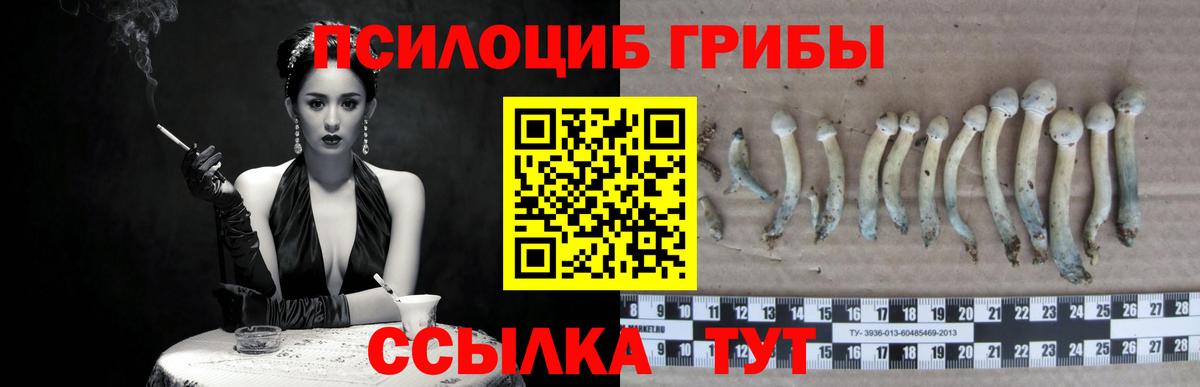 Псилоцибиновые грибы GOLDEN TEACHER Каменск-Шахтинский