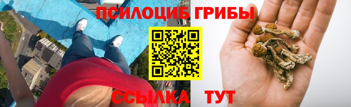 купить закладку  Галлюциногенные грибы ЛСД  Вход с VPN  Каменск-Шахтинский  Галлюциногенные грибы прущие грибы 