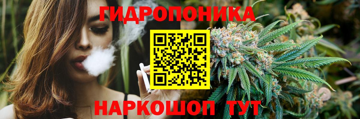 Марихуана White Widow  Бошки Шишки THC 21%  Каменск-Шахтинский  Вход с VPN 